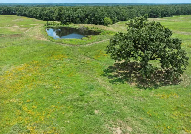 Photo 1 of Land for sale at 9830 County Road 4028, Kemp, TX 75143 | MLS# 21170816 | Listing updated on 2026-09-02