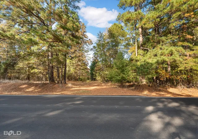 4th image of 291 Parks Rd, Benton, LA 71006 | MLS# 21173149