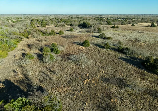 Homes for sale in Wortham, TX | Tbd Fm 1366, Wortham, TX 76693 | MLS# 21171028