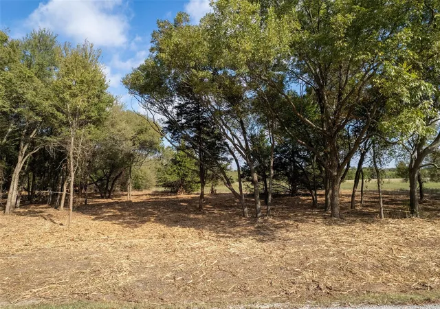 Homes for sale in Collinsville, TX | Lot 5 Mcfarlin Rd, Collinsville, TX 76233 | MLS# 21176239