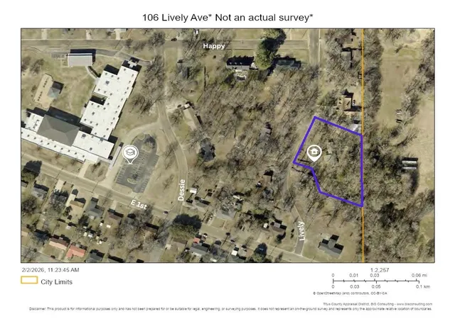 Homes for sale in Mount Pleasant, TX | 106 Lively Ave, Mount Pleasant, TX 75455 | MLS# 21176369
