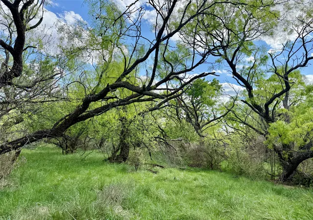 Photo 4 of Land for sale at 258 County Road 206, Ovalo, TX 79541 | MLS# 21176747 | Listing updated on 2026-09-01
