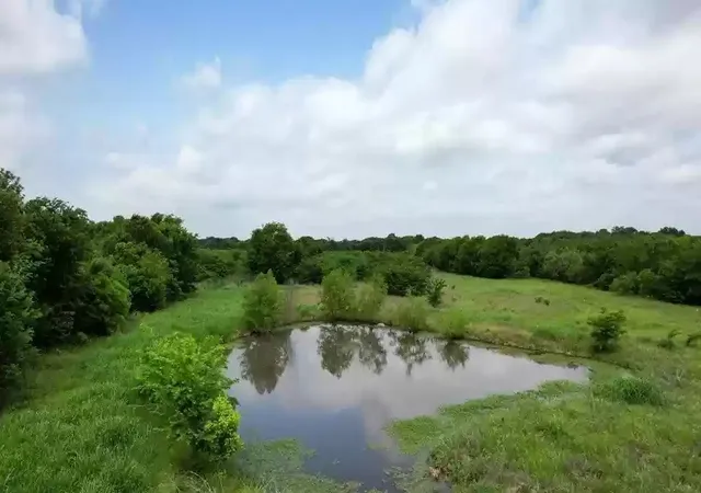 Photo 1 of Land for sale at Tbd Tolosa Rd, Seven Points, TX 75143 | MLS# 21177501 | Listing updated on 2026-08-27