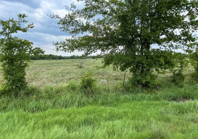 Photo 3 of Land for sale at 22+ Fm-513, Campbell, TX 75422 | MLS# 21175968 | Listing updated on 2026-08-31