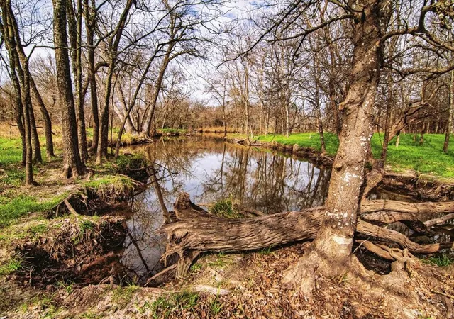 Photo 2 of Land for sale at Tbd Lcr 623, Groesbeck, TX 76642 | MLS# 21160274 | Listing updated on 2026-08-21