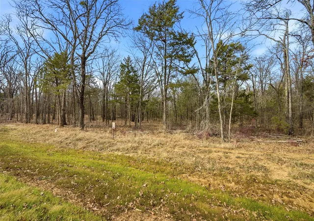 Homes for sale in Pottsboro, TX | Lot 30 White Tail Wy, Pottsboro, TX 75076 | MLS# 21178520