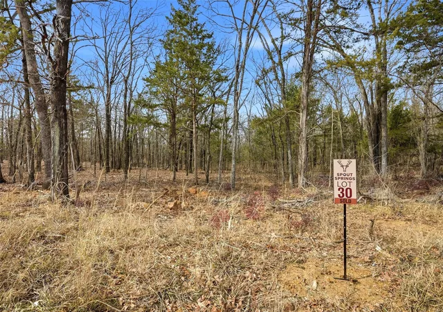 Homes for sale in Pottsboro, TX | Lot 30 White Tail Wy, Pottsboro, TX 75076 | MLS# 21178520