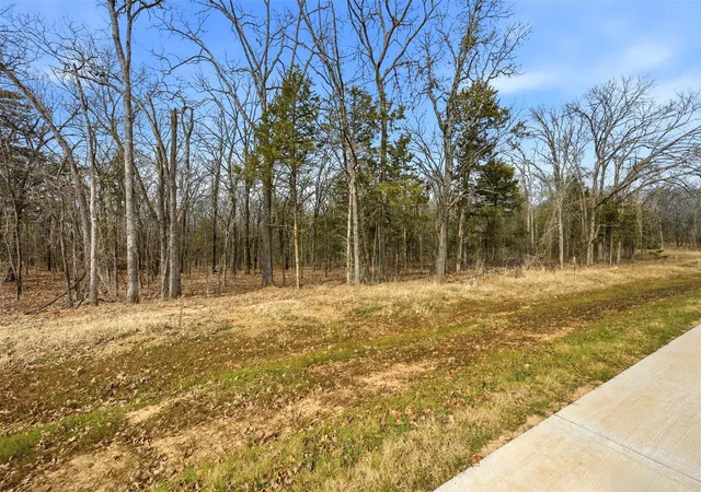 Homes for sale in Pottsboro, TX | Lot 30 White Tail Wy, Pottsboro, TX 75076 | MLS# 21178520