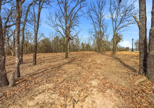 Homes for sale in Pottsboro, TX | Lot 30 White Tail Wy, Pottsboro, TX 75076 | MLS# 21178520