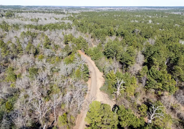 Land for sale at 00000 County Road 442, Palestine, TX 75803 | MLS# 21179035