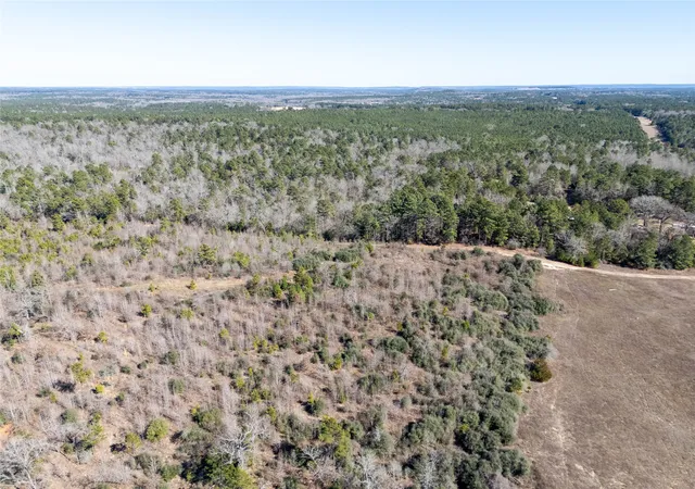 Photo 1 of Land for sale at 00000 County Road 442, Palestine, TX 75803 | MLS# 21179035 | Listing updated on 2026-07-13