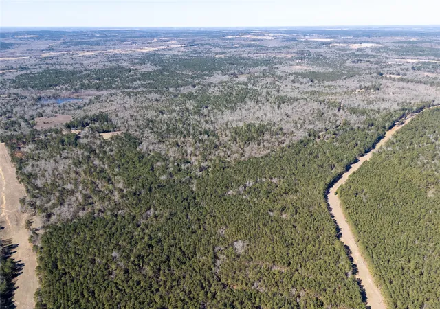 Photo 3 of Land for sale at 00000 County Road 442, Palestine, TX 75803 | MLS# 21179035 | Listing updated on 2026-07-13