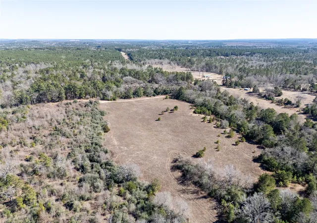 Photo 4 of Land for sale at 00000 County Road 442, Palestine, TX 75803 | MLS# 21179035 | Listing updated on 2026-07-13
