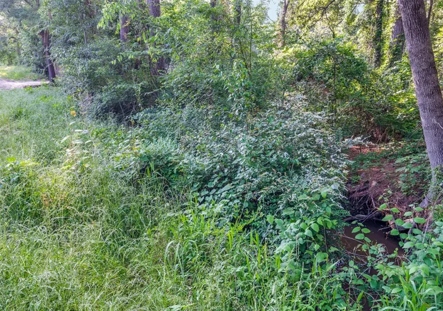 Photo 2 of Land for sale at 7631 Forest Hill Dr, Frankston, TX 75763 | MLS# 21179156 | Listing updated on 2026-08-09