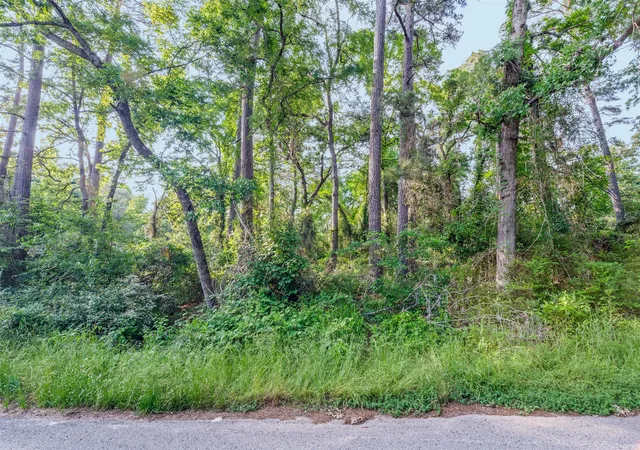 Photo 3 of Land for sale at 7631 Forest Hill Dr, Frankston, TX 75763 | MLS# 21179156 | Listing updated on 2026-08-09