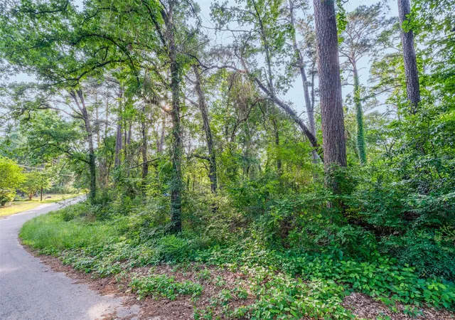 Photo 4 of Land for sale at 7631 Forest Hill Dr, Frankston, TX 75763 | MLS# 21179156 | Listing updated on 2026-08-09