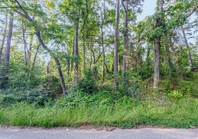 Photo 2 of Land for sale at 00 Forest Hill Dr, Frankston, TX 75763 | MLS# 21179160 | Listing updated on 2026-08-09