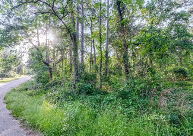 Photo 3 of Land for sale at 00 Forest Hill Dr, Frankston, TX 75763 | MLS# 21179160 | Listing updated on 2026-08-09