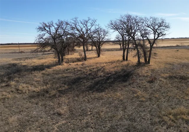 Photo 1 of Land for sale at 1235 County Road 226, Rising Star, TX 76471 | MLS# 21179234 | Listing updated on 2026-09-02