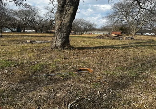 Homes for sale in Bells, TX | 320 E Ford St, Bells, TX 75414 | MLS# 21177957