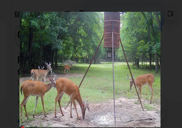 Photo 1 of Land for sale at 139 Nw County Rd #1061, Talco, TX 75487 | MLS# 21180247 | Listing updated on 2026-09-04