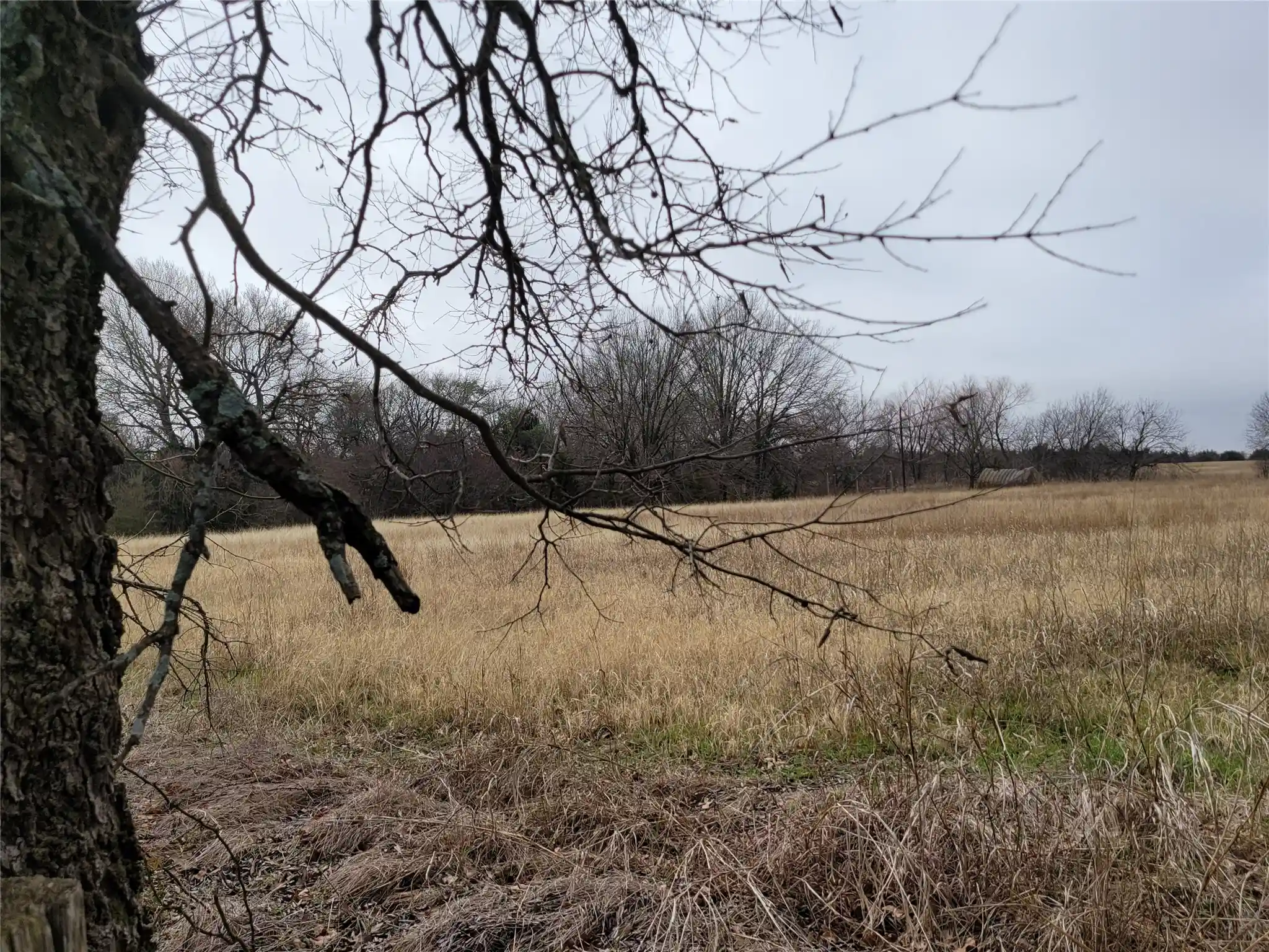 Photo 1 of Land for sale at 2232 County Road 415, Cleburne, TX 76031 | MLS# 21181153 | Listing updated on 2026-06-29