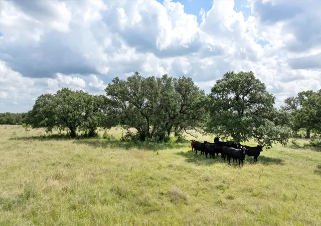 Photo 3 of Land for sale at Tbd Cr 2200 493+ Ac, Hico, TX 76457 | MLS# 21182336 | Listing updated on 2026-08-22