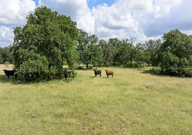 Photo 3 of House for sale at Tbd Cr 2200 493+-Ac, Hico, TX 76457 | MLS# 21182336 | Listing updated on 2026-08-22