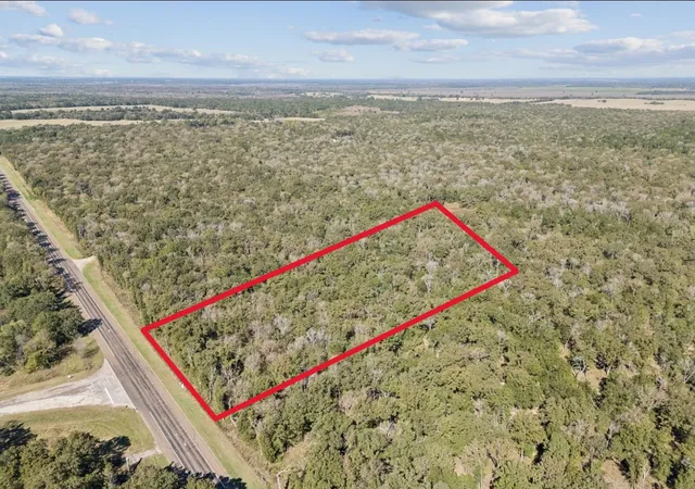 Homes for sale in Cayuga, TX | 0 N Us Hwy 287, Cayuga, TX 75832 | MLS# 21182376