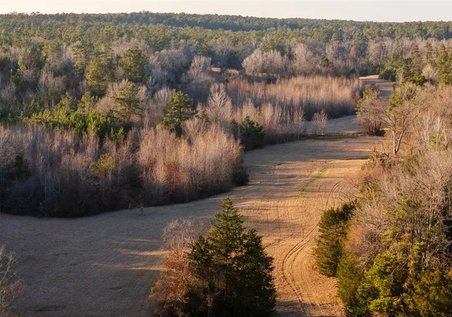Homes for sale in Laneville, TX | 13579 County Road 4198 S, Laneville, TX 75667 | MLS# 21182456
