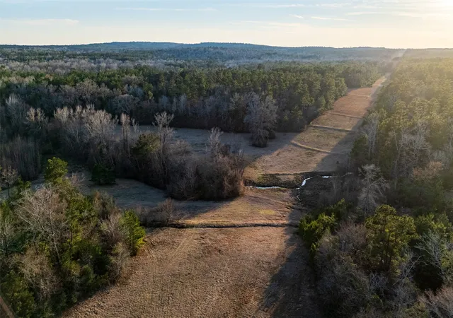 Homes for sale in Laneville, TX | 13579 County Road 4198 S, Laneville, TX 75667 | MLS# 21182456