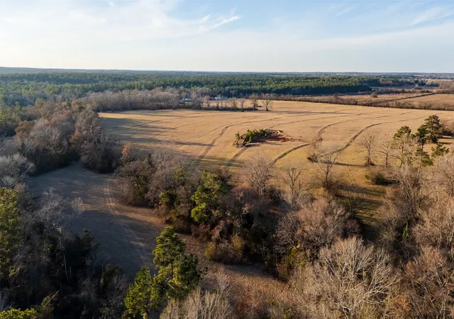 Homes for sale in Laneville, TX | 13579 County Road 4198 S, Laneville, TX 75667 | MLS# 21182456