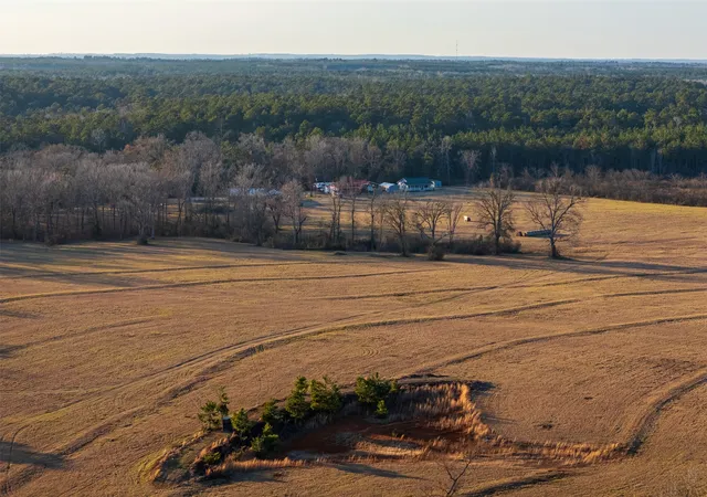 Homes for sale in Laneville, TX | 13579 County Road 4198 S, Laneville, TX 75667 | MLS# 21182456