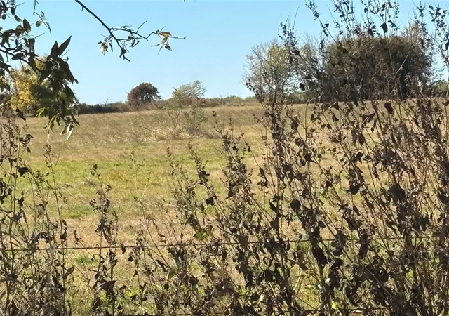 Photo 3 of Land for sale at 138 Acres / Tract 5 Winn Rd, Collinsville, TX 76268 | MLS# 21102045 | Listing updated on 2026-07-28