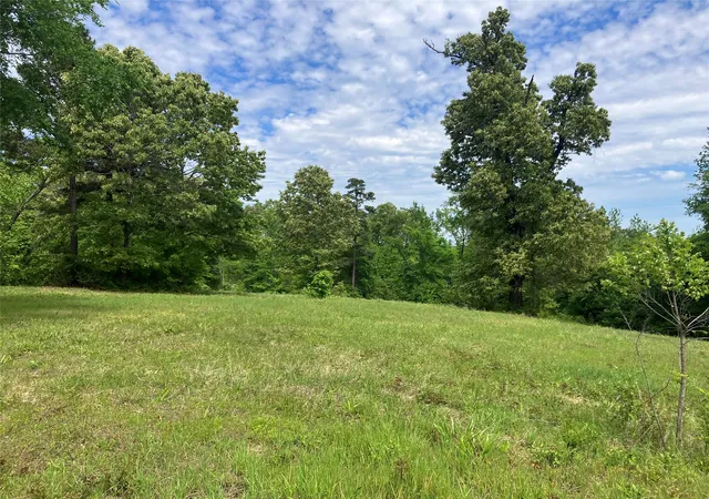 Homes for sale in Winona, TX | Tbd Ridgeline Loop, Winona, TX 75792 | MLS# 21183486