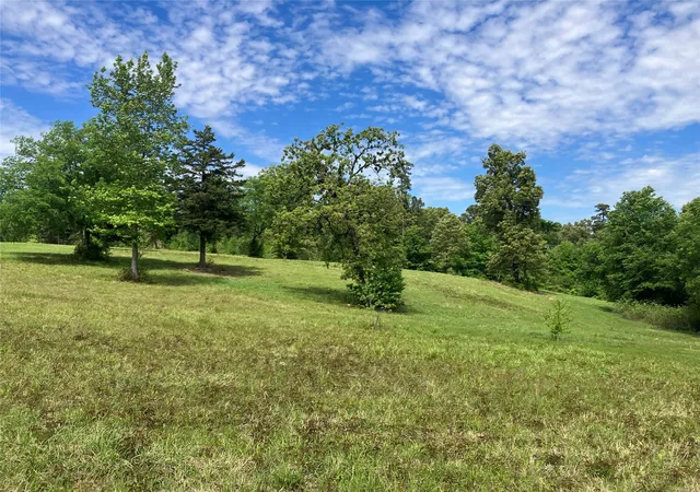 Homes for sale in Winona, TX | Tbd Ridgeline Loop, Winona, TX 75792 | MLS# 21183486