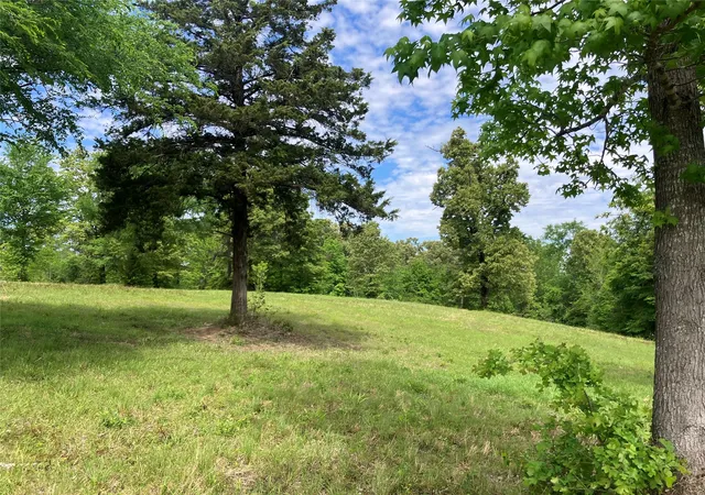 Homes for sale in Winona, TX | Tbd Ridgeline Loop, Winona, TX 75792 | MLS# 21183486