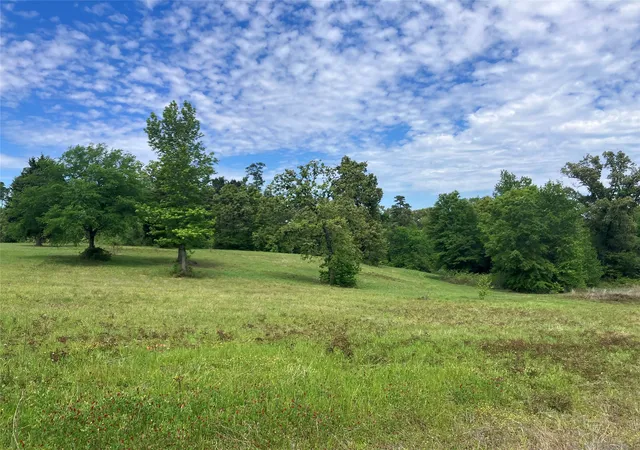 Homes for sale in Winona, TX | Tbd Ridgeline Loop, Winona, TX 75792 | MLS# 21183486