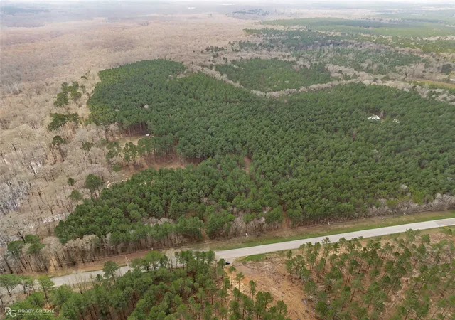 1st image of 0 La 157 Hwy, Benton, LA 71006 | MLS# 21183659