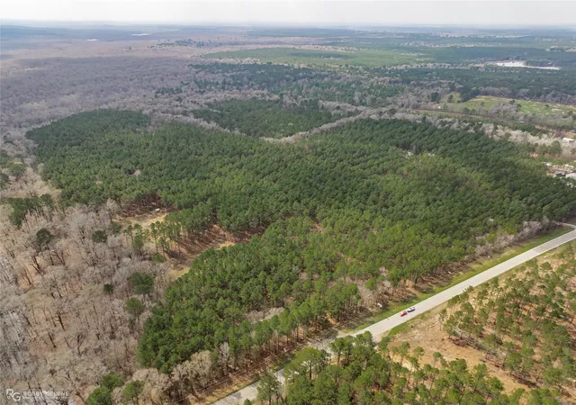 2nd image of 0 La 157 Hwy, Benton, LA 71006 | MLS# 21183659