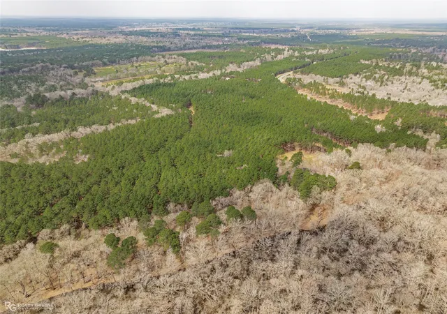 3rd image of 0 La 157 Hwy, Benton, LA 71006 | MLS# 21183659