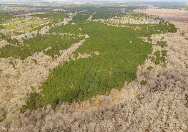 4th image of 0 La 157 Hwy, Benton, LA 71006 | MLS# 21183659