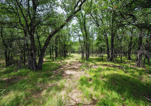Homes for sale in Santo, TX | 2544 Ac N Fm 129, Santo, TX 76472 | MLS# 21182287