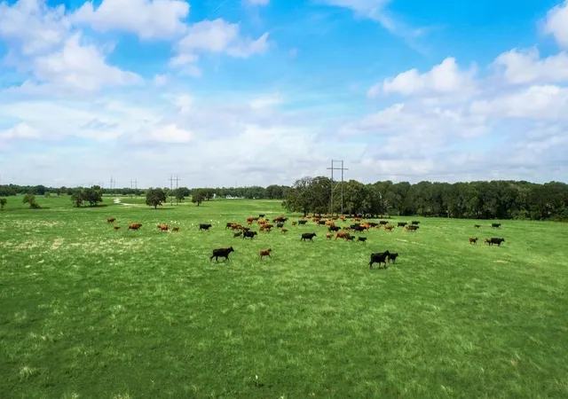 Photo 3 of Land for sale at Tract 2 Co Rd 153, Kaufman, TX 75142 | MLS# 21183711 | Listing updated on 2026-10-02