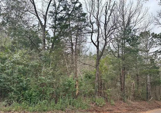 Photo 2 of Land for sale at 4451 County Road 3206 W, Mount Enterprise, TX 75681 | MLS# 21183746 | Listing updated on 2026-09-24