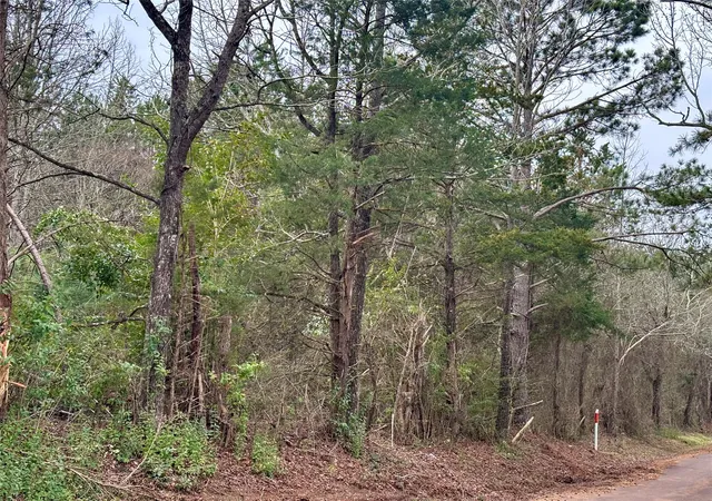 Photo 3 of Land for sale at 4451 County Road 3206 W, Mount Enterprise, TX 75681 | MLS# 21183746 | Listing updated on 2026-09-24