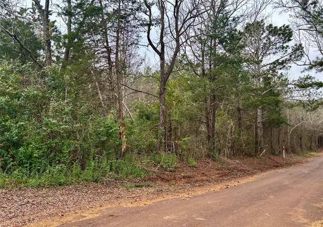 Photo 3 of Land for sale at 4451 County Road 3206 W, Mount Enterprise, TX 75681 | MLS# 21183746 | Listing updated on 2026-09-24