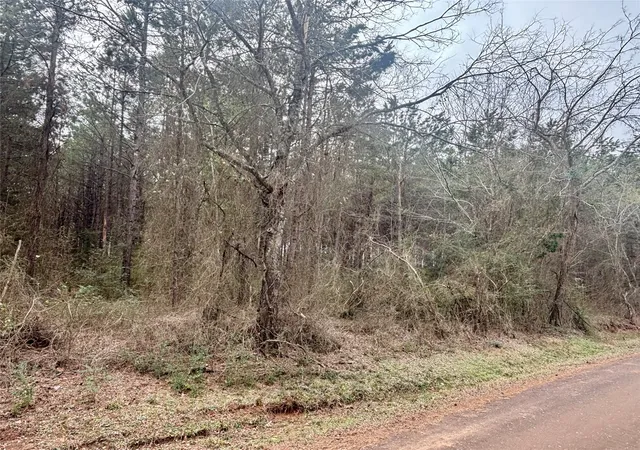 Photo 7 of Land for sale at 4451 County Road 3206 W, Mount Enterprise, TX 75681 | MLS# 21183746 | Listing updated on 2026-09-24