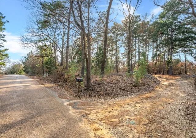 Homes for sale in Brownsboro, TX | Tbd County Road 3520, Brownsboro, TX 75756 | MLS# 21183938