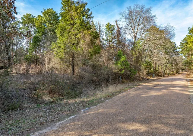 Homes for sale in Brownsboro, TX | Tbd County Road 3520, Brownsboro, TX 75756 | MLS# 21183938